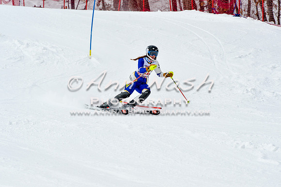 2016 January 22 alpine DSC_1851