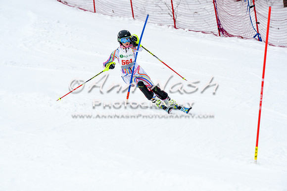 2016 January 22 alpine DSC_1340