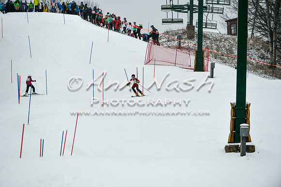 2015 December 18 alpine DSC_9335