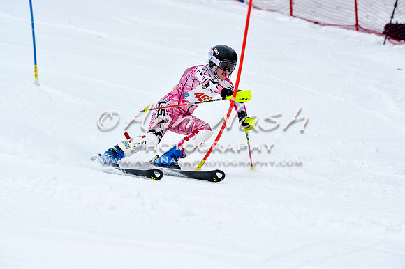2016 January 22 alpine DSC_0817