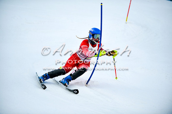 2015 December 18 alpine DSC_9895