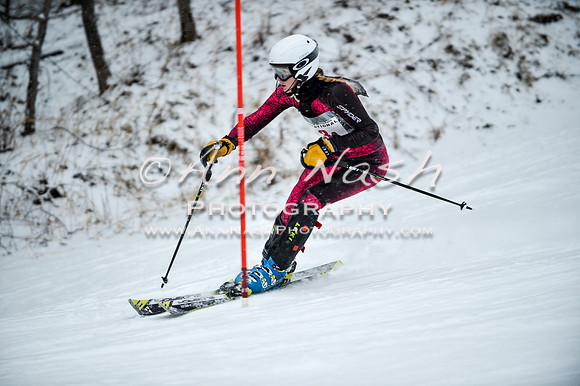 2015 December 18 alpine DSC_8958