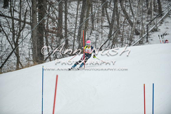 2015 December 18 alpine DSC_9275