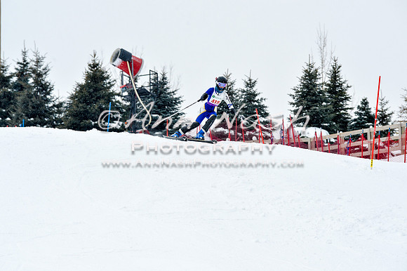 2016 January 22 alpine DSC_1391
