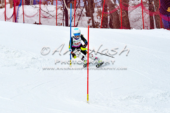 2016 January 22 alpine DSC_0918