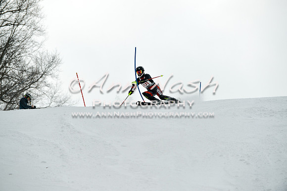 2015 December 18 alpine DSC_9534