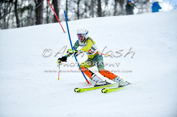 2015 December 18 alpine DSC_9961