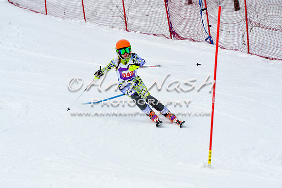 2016 January 22 alpine DSC_1120