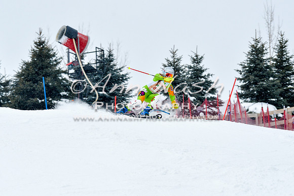 2016 January 22 alpine DSC_0895