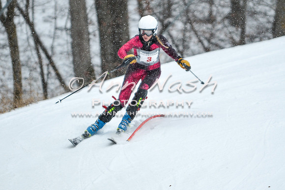 2015 December 18 alpine DSC_8956