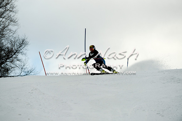 2015 December 18 alpine DSC_0016