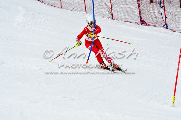 2016 January 22 alpine DSC_1846