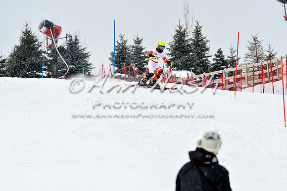 2016 January 22 alpine DSC_1795