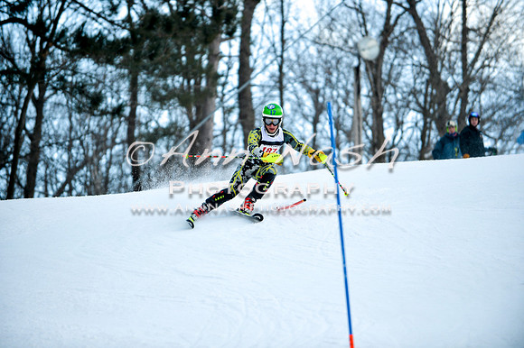 2015 December 18 alpine DSC_9924