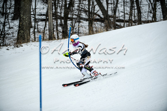 2015 December 18 alpine DSC_9019