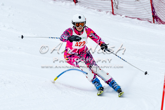 2016 January 22 alpine DSC_0787