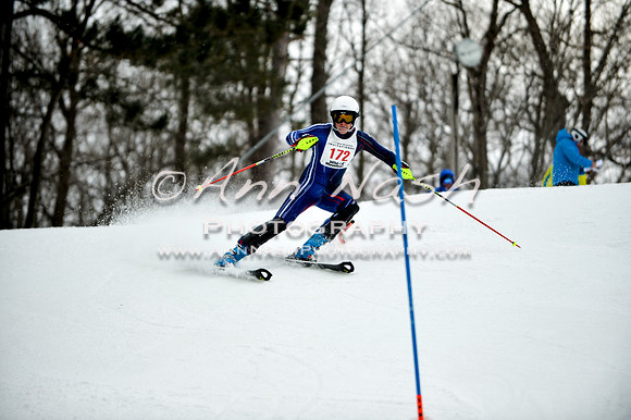 2015 December 18 alpine DSC_9518