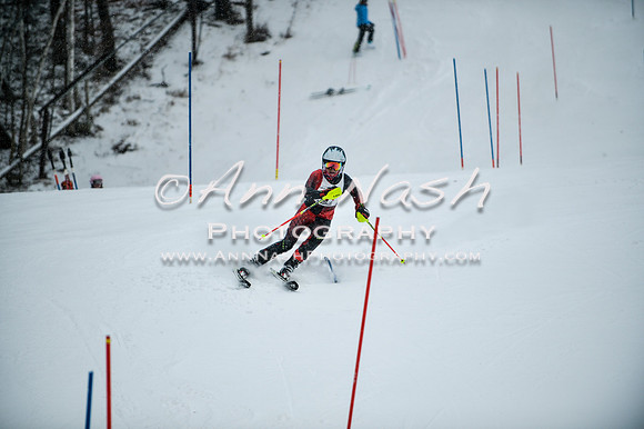 2015 December 18 alpine DSC_8954