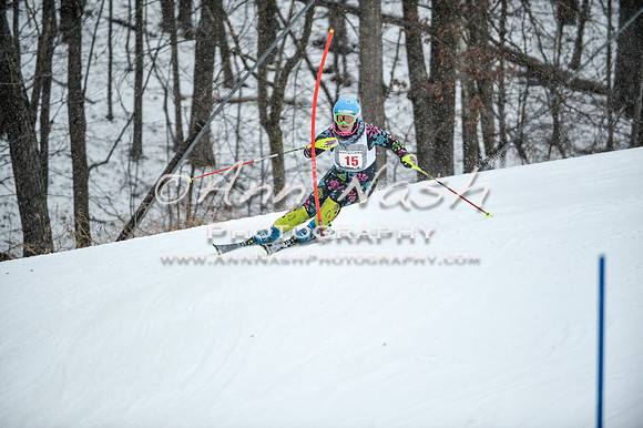 2015 December 18 alpine DSC_9067