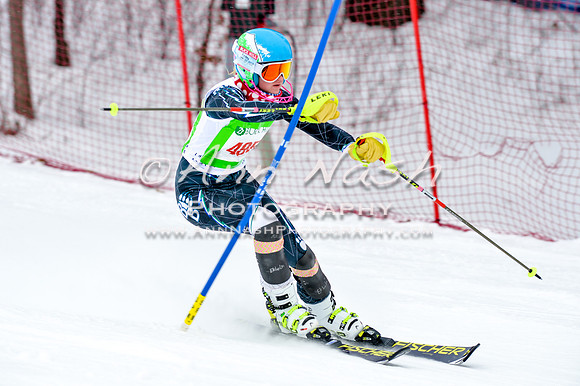 2016 January 22 alpine DSC_1479