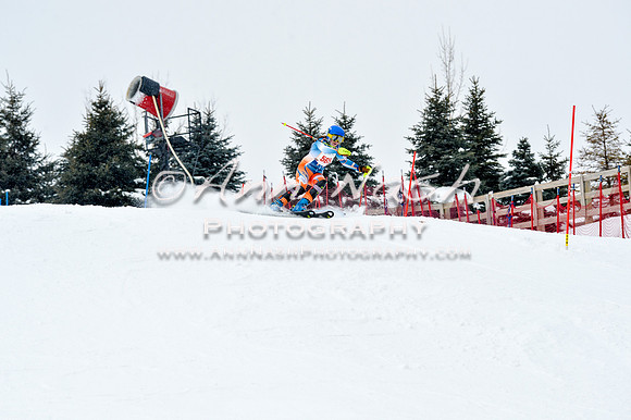 2016 January 22 alpine DSC_1527