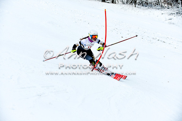 2015 December 18 alpine DSC_9715
