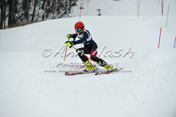 2015 December 18 alpine DSC_9327