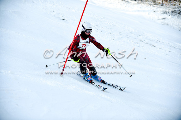 2015 December 18 alpine DSC_0092