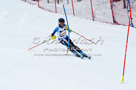 2016 January 22 alpine DSC_1043