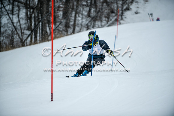 2015 December 18 alpine DSC_8945