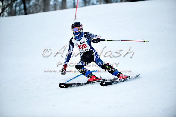 2015 December 18 alpine DSC_0051