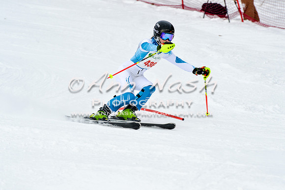 2016 January 22 alpine DSC_1594