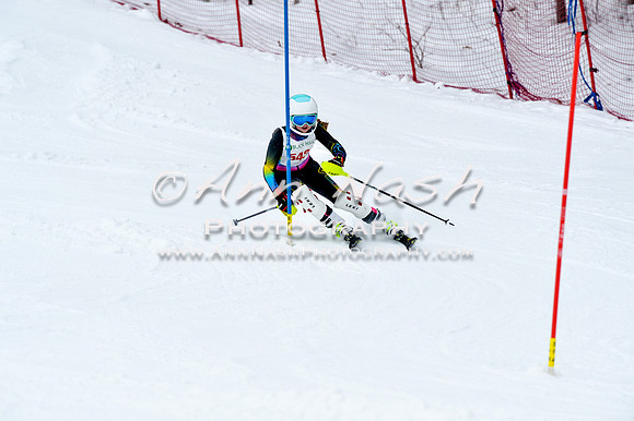 2016 January 22 alpine DSC_0919