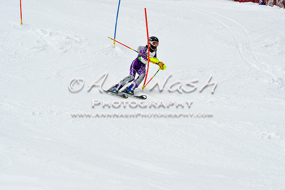 2016 January 22 alpine DSC_1790