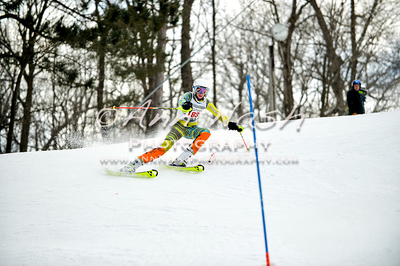 2015 December 18 alpine DSC_9960