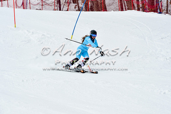 2016 January 22 alpine DSC_1883