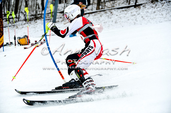 2015 December 18 alpine DSC_9622