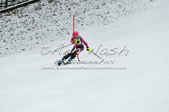 2015 December 18 alpine DSC_9420