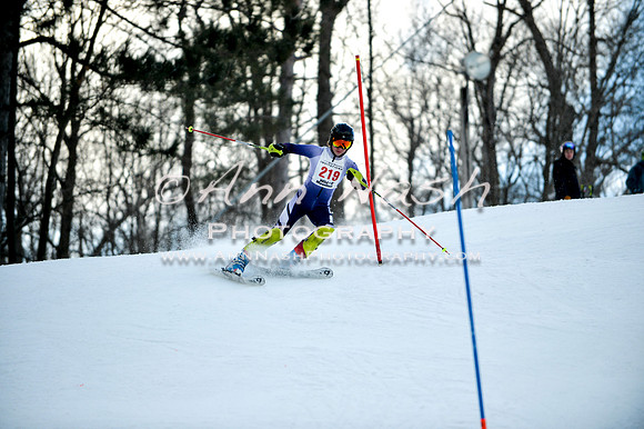 2015 December 18 alpine DSC_0058