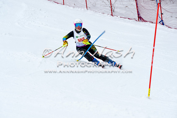 2016 January 22 alpine DSC_0931