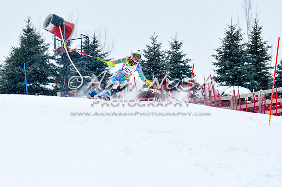 2016 January 22 alpine DSC_0705