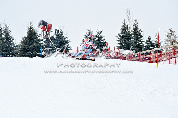 2016 January 22 alpine DSC_1291