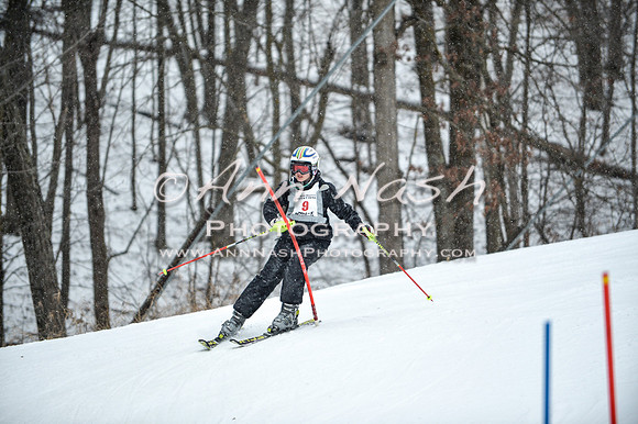 2015 December 18 alpine DSC_9012