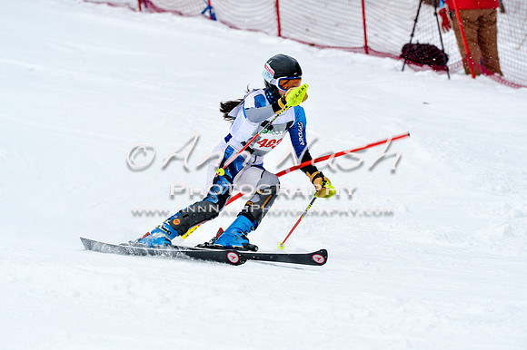 2016 January 22 alpine DSC_1045