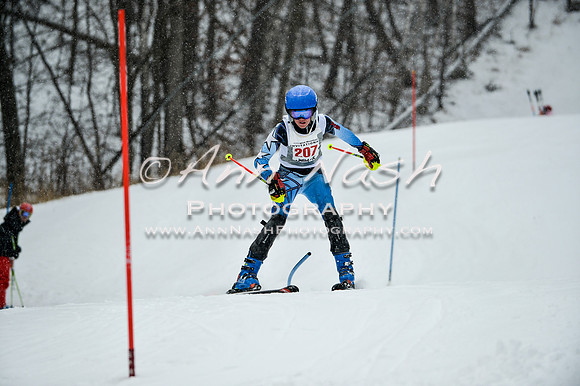 2015 December 18 alpine DSC_9282