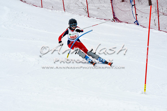 2016 January 22 alpine DSC_1132
