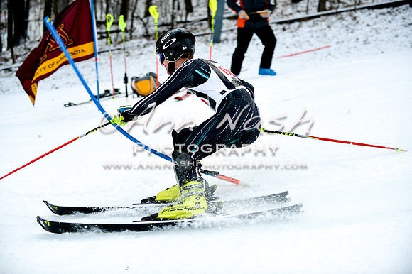 2015 December 18 alpine DSC_9666