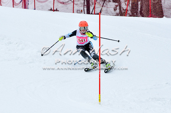 2016 January 22 alpine DSC_0716