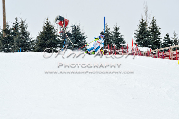 2016 January 22 alpine DSC_1586