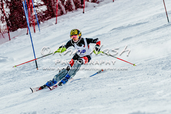 2016 February 14 alpine DSC_7344